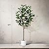 Artificial  Plants 209